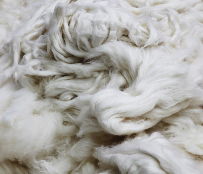 Hanes and U.S. Cotton: A Long History