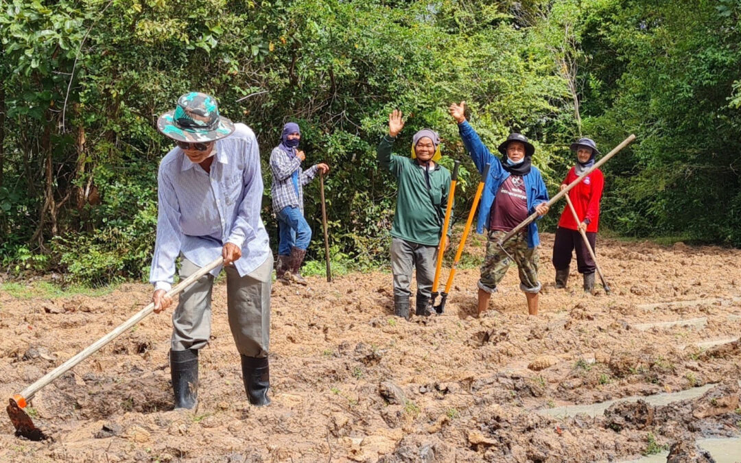 “HBI Forest” Part of Thailand Tree Planting Project