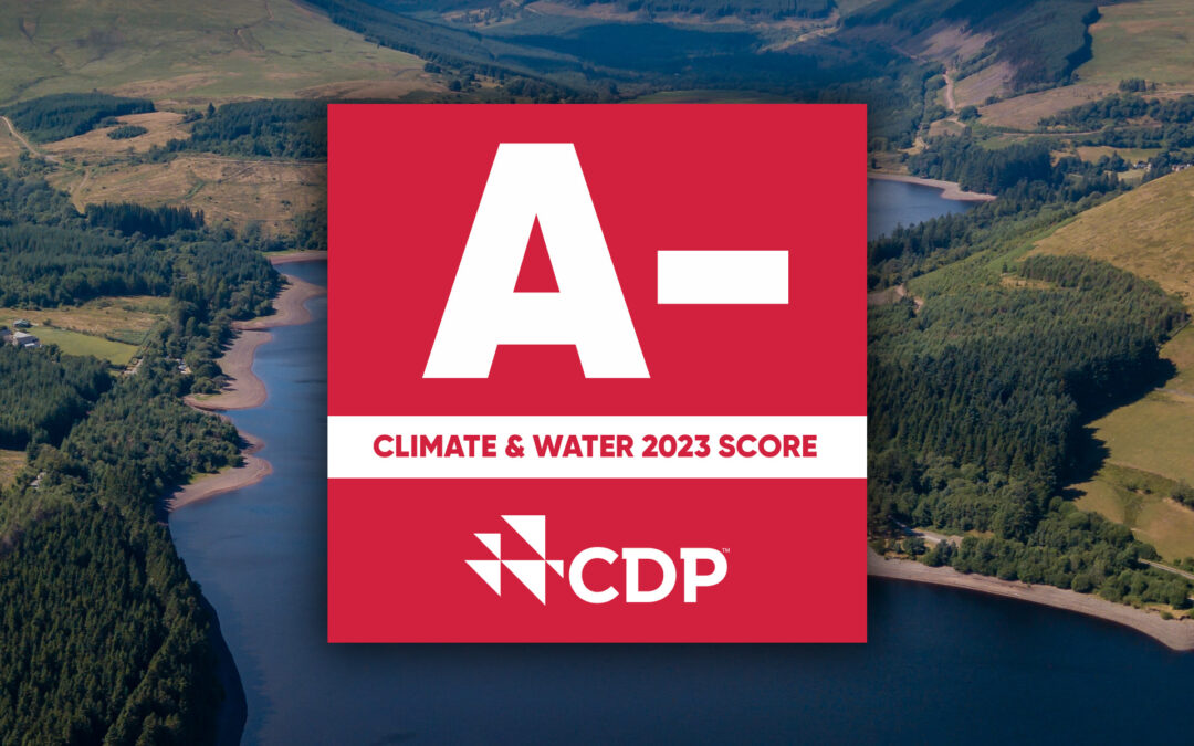 HanesBrands Earns Top Scores from CDP Maintaining Leader Status Among Industry Peers